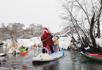 Вашанский карнавал