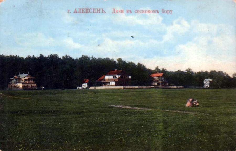 Дачная жизнь. Алексин.