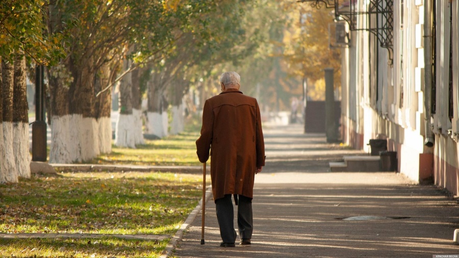 В Госдуму внесли законопроект об усилении наказания за преступления против пенсионеров и инвалидов