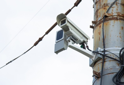 Техника узрела рыжую плутовку