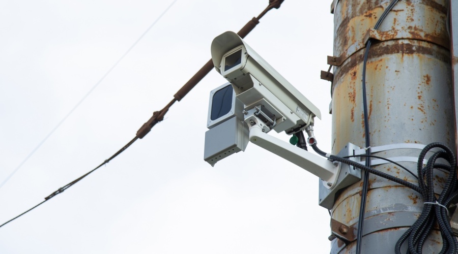 Техника узрела рыжую плутовку