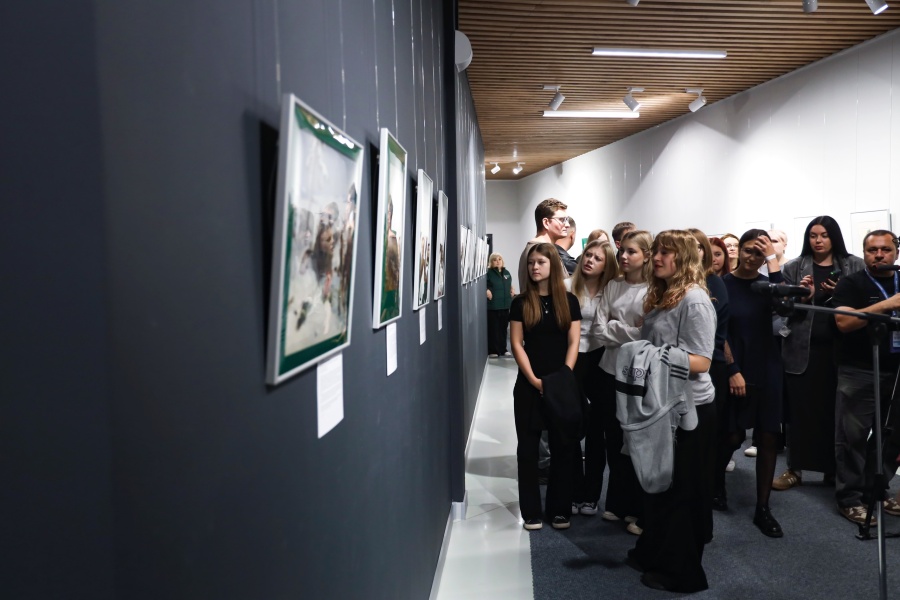 «Мозаика эпопеи»: из Ясной Поляны — в Сибирь