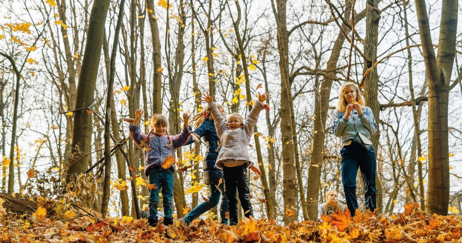 Тула в топе: куда поедут на ноябрьские