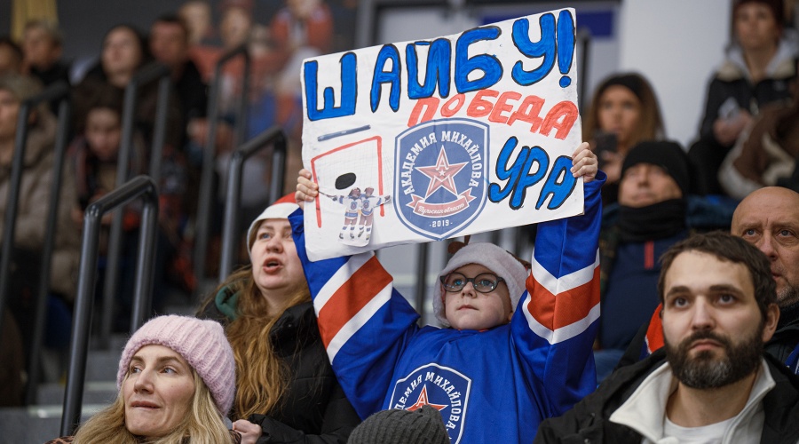 Новогодний хоккейный матч