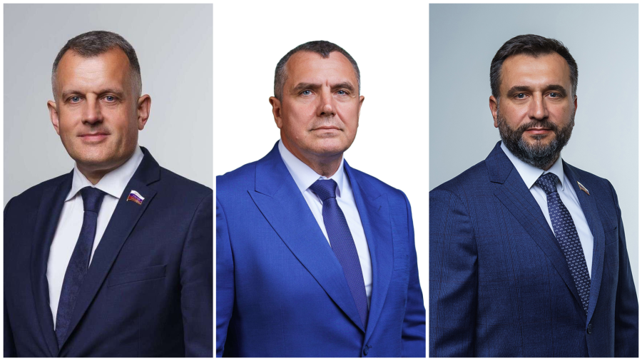 Когда Афоничев, Никитин и Швыков сложат полномочия?