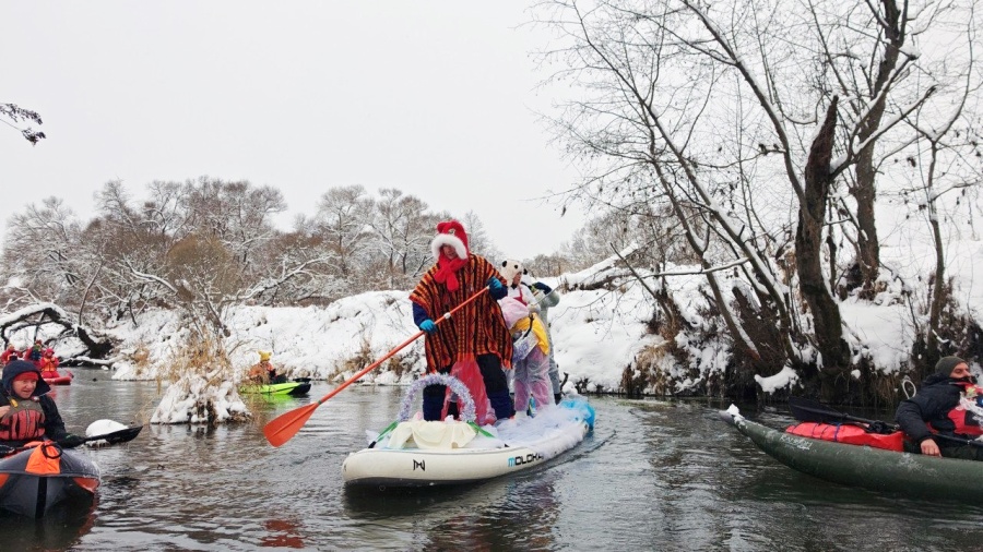 Вашанский карнавал