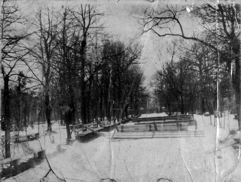 Манифест о свободе и пуля в спину. 