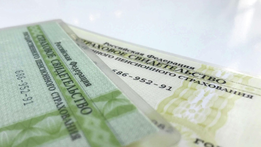 «Новые люди» предложили заменить СНИЛС и ОМС номером телефона