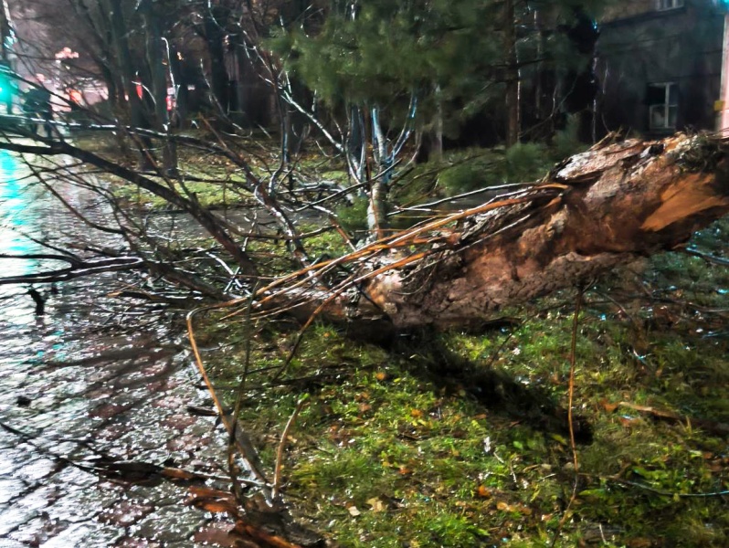 Порывами ураганного ветра в Тульской области нарушено энергоснабжение