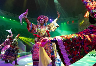 Ёлки для всей губернии