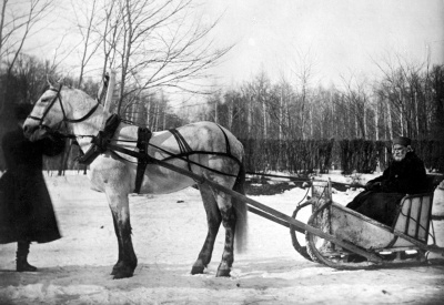 К пребыванию Л. Н. Толстого в Туле.