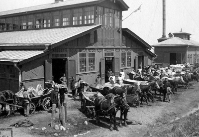 Вопрос: па-а-чему это волнуются мясники?