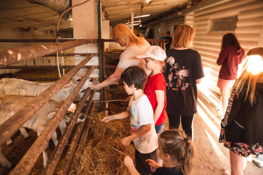 Хобби для фермера или прибыльный бизнес для Тульской области?