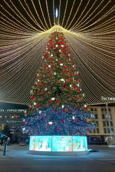 Размерчик впечатлил: Тульская ель — рекордсмен