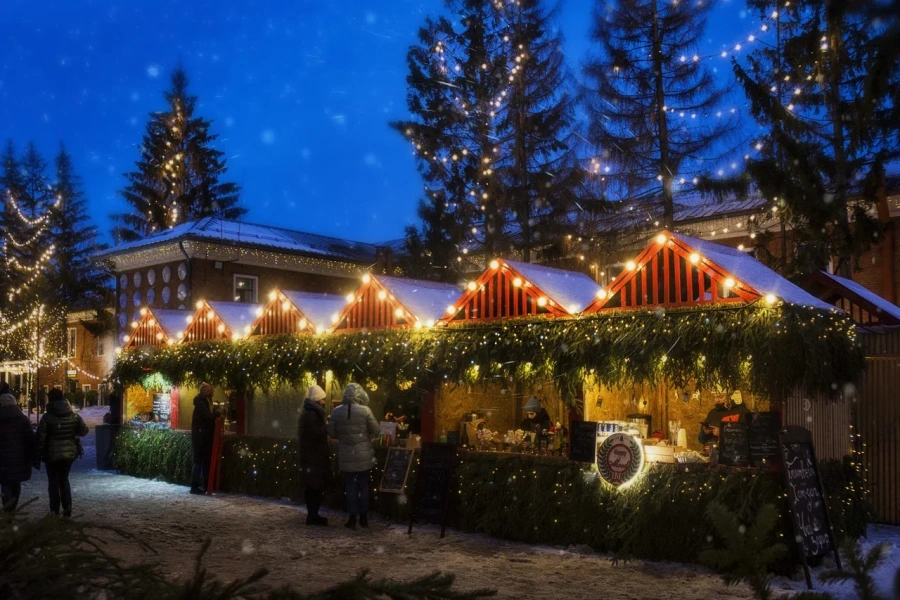 Куда едут на Святки