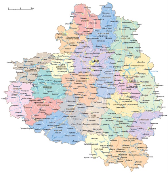 Цифровой портрет Тульской области