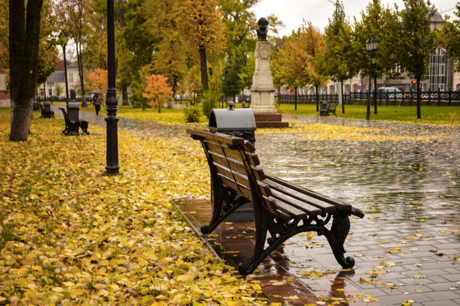 Тула вошла в топ-10 самых популярных городов России для ноябрьских путешествий